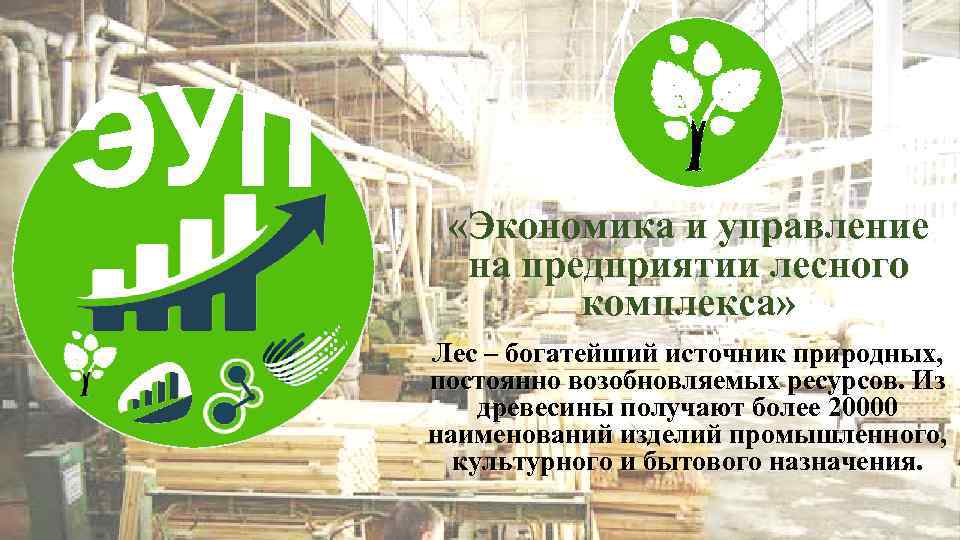  «Экономика и управление на предприятии лесного комплекса» Лес – богатейший источник природных, постоянно