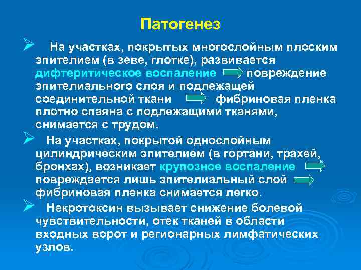 Патогенез Ø На участках, покрытых многослойным плоским эпителием (в зеве, глотке), развивается дифтеритическое воспаление
