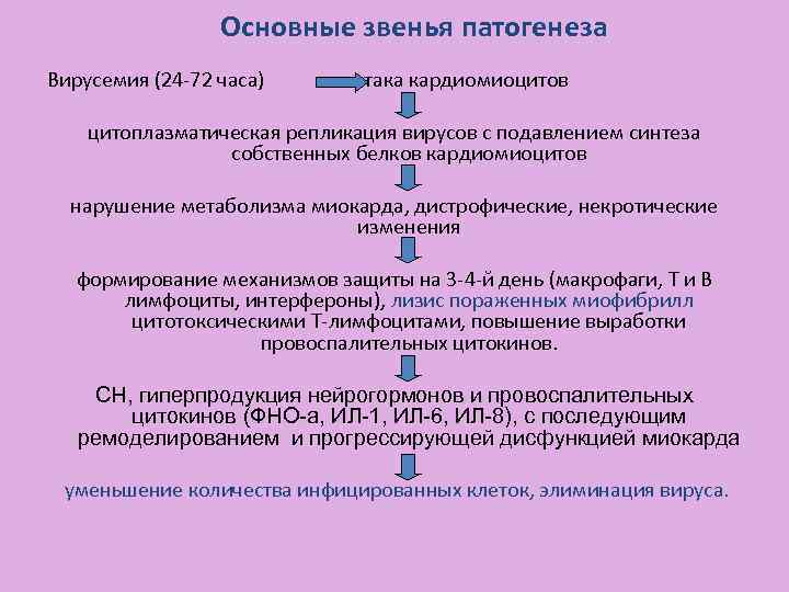 Основные звенья патогенеза Вирусемия (24 -72 часа) атака кардиомиоцитов цитоплазматическая репликация вирусов с подавлением