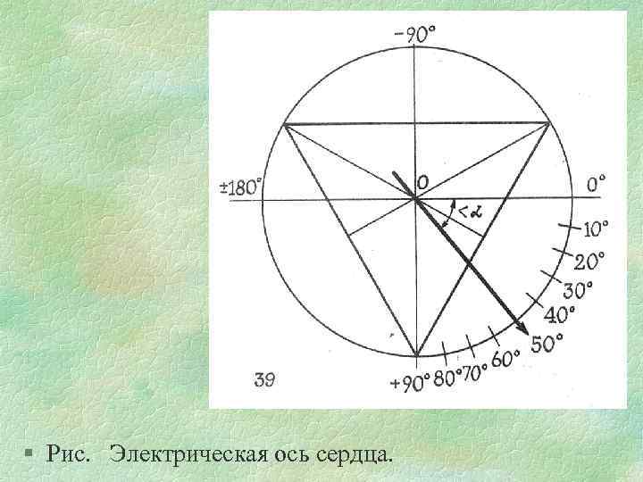 § Рис. Электрическая ось сердца. 