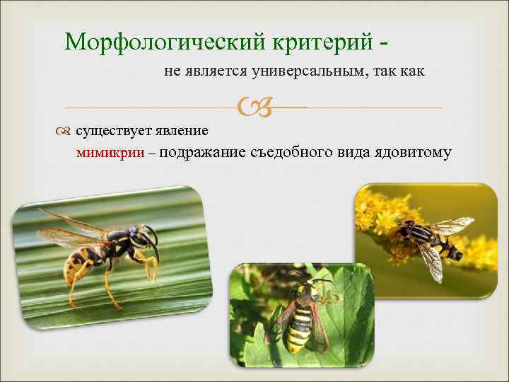 Морфологический критерий не является универсальным, так как существует явление мимикрии – подражание съедобного вида