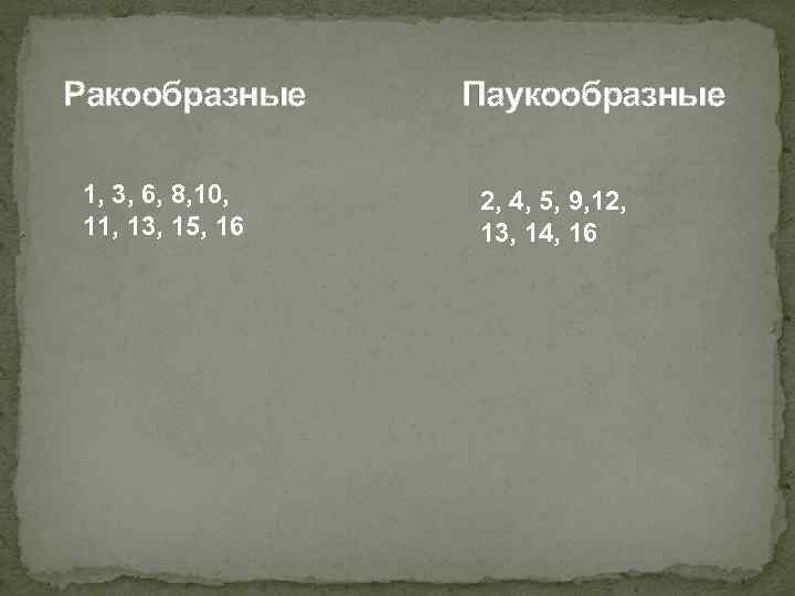 Ракообразные 1, 3, 6, 8, 10, 11, 13, 15, 16 Паукообразные 2, 4, 5,