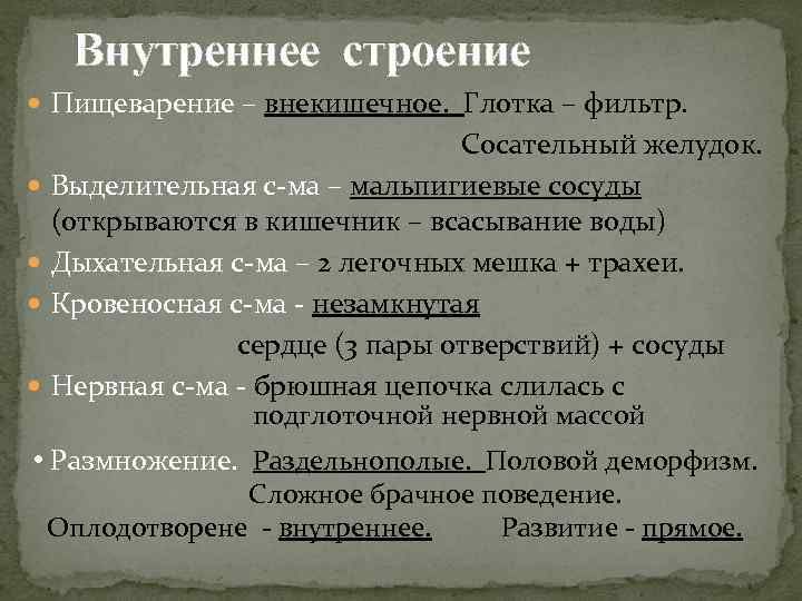 Внутреннее строение Пищеварение – внекишечное. Глотка – фильтр. Сосательный желудок. Выделительная с-ма – мальпигиевые