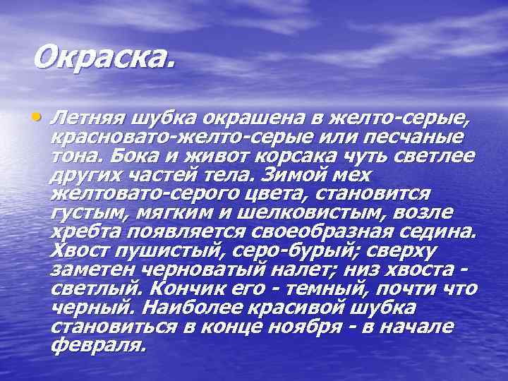 Окраска. • Летняя шубка окрашена в желто-серые, красновато-желто-серые или песчаные тона. Бока и живот