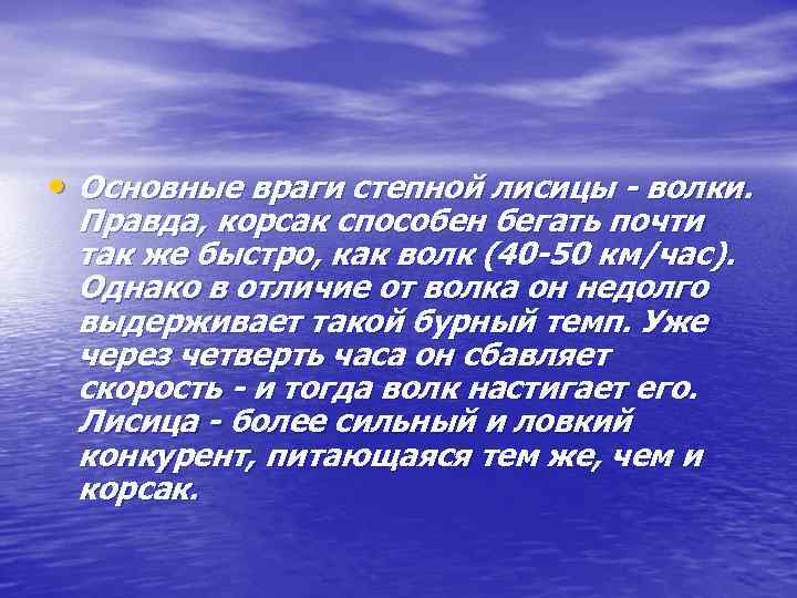  • Основные враги степной лисицы - волки. Правда, корсак способен бегать почти так