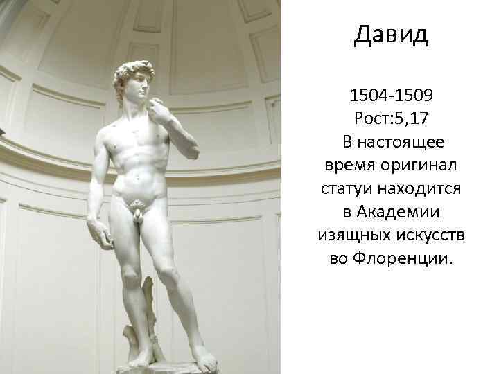 Давид 1504 -1509 Рост: 5, 17 В настоящее время оригинал статуи находится в Академии