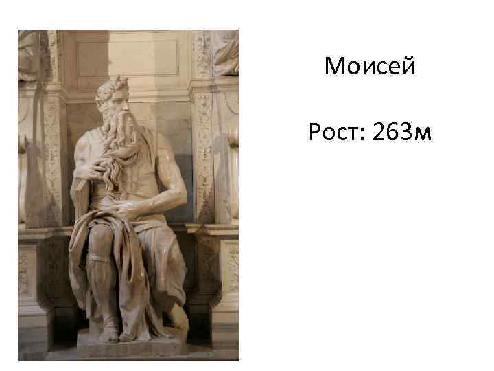 Моисей Рост: 263 м 