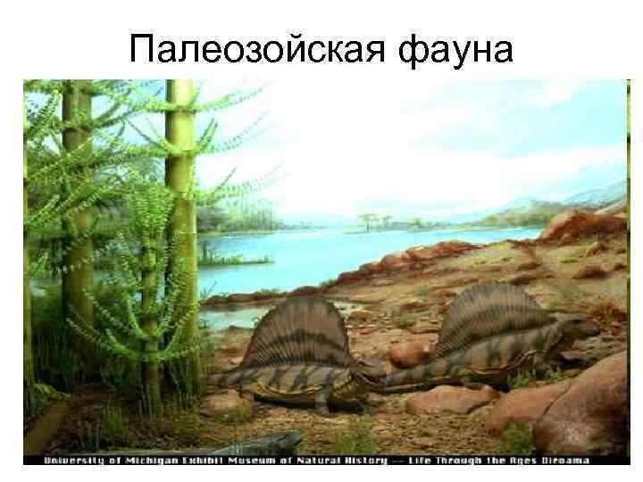 Палеозойская фауна 