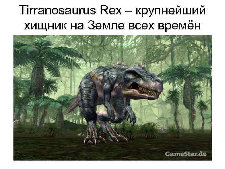 Tirranosaurus Rex – крупнейший хищник на Земле всех времён 