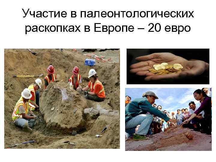 Участие в палеонтологических раскопках в Европе – 20 евро 