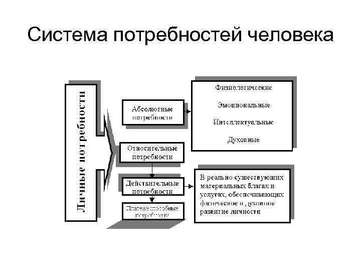 Система потребностей человека 