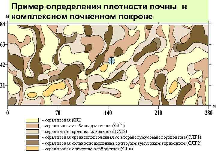 Пример определения плотности почвы в Почвенная карта-схема опытного участка комплексном почвенном покрове ВНИИСХ -