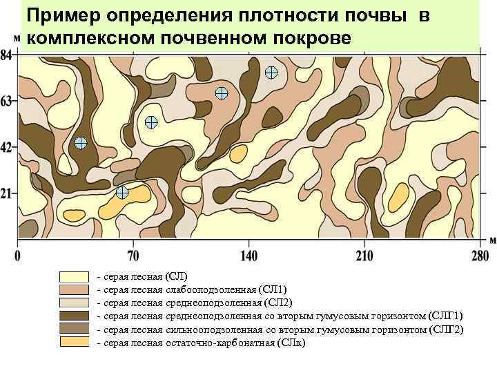 Пример определения плотности почвы в Почвенная карта-схема опытного участка комплексном почвенном покрове ВНИИСХ -