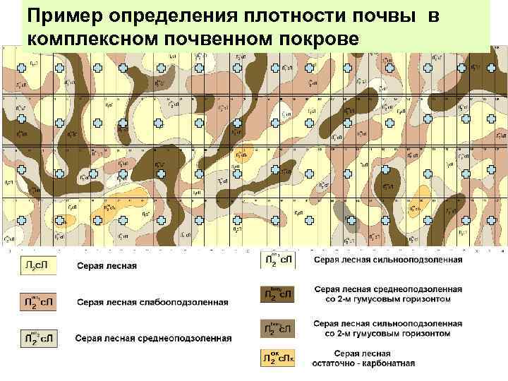 Пример определения плотности почвы в Почвенная карта опытного участка ВНИИСХ комплексном почвенном покрове 