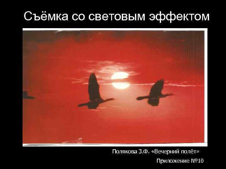 Съёмка со световым эффектом Полякова З. Ф. «Вечерний полёт» Приложение № 10 