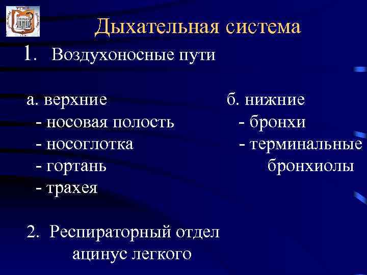 Дыхательная система 1. Воздухоносные пути а. верхние - носовая полость - носоглотка - гортань