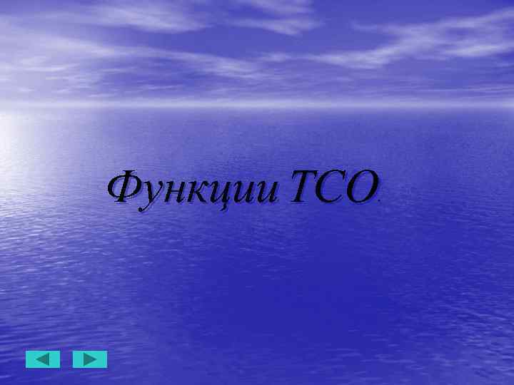 Функции ТСО. 