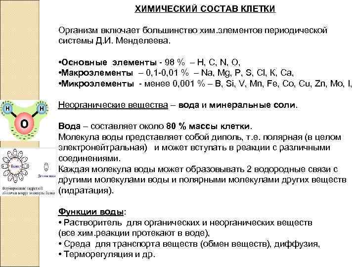 ХИМИЧЕСКИЙ СОСТАВ КЛЕТКИ Организм включает большинство хим. элементов периодической системы Д. И. Менделеева. •