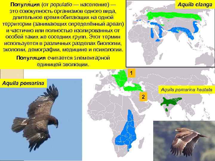 Популя ция (от populatio — население) — это совокупность организмов одного вида, длительное время