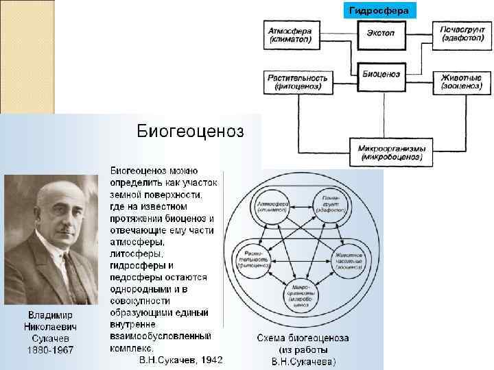 Гидросфера 