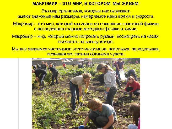 МАКРОМИР – ЭТО МИР, В КОТОРОМ МЫ ЖИВЕМ. Это мир организмов, которые нас окружают,