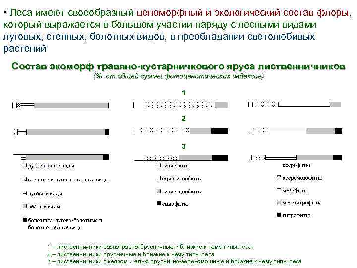  • Леса имеют своеобразный ценоморфный и экологический состав флоры, который выражается в большом