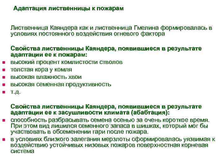 Адаптация лиственницы к пожарам Лиственница Каяндера как и лиственница Гмелина формировалась в условиях постоянного