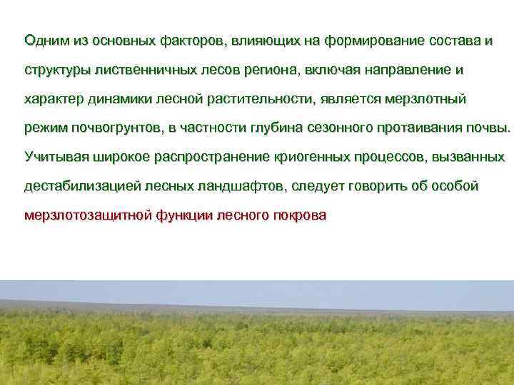 Одним из основных факторов, влияющих на формирование состава и структуры лиственничных лесов региона, включая