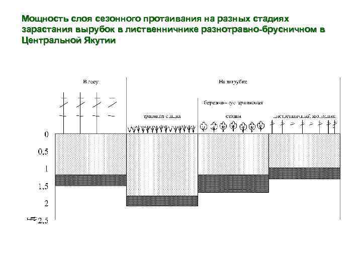 Мощность слоя сезонного протаивания на разных стадиях зарастания вырубок в лиственничнике разнотравно-брусничном в Центральной