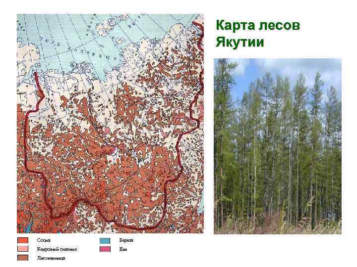 Ландшафты якутии карта