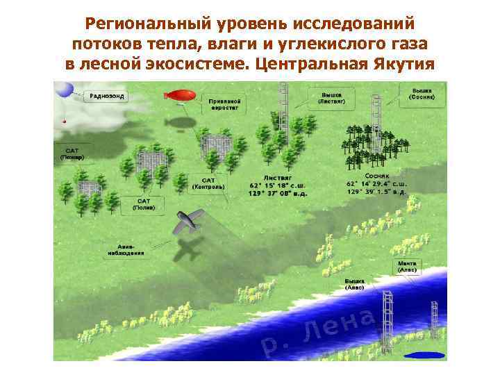 Региональный уровень исследований потоков тепла, влаги и углекислого газа в лесной экосистеме. Центральная Якутия