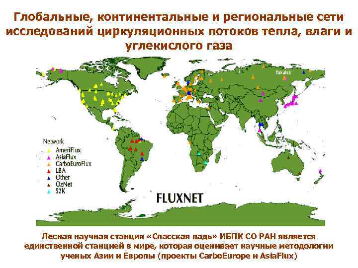 Глобальные, континентальные и региональные сети исследований циркуляционных потоков тепла, влаги и углекислого газа Лесная