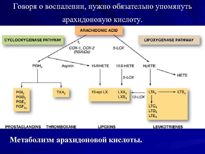 Схема арахидоновой кислоты