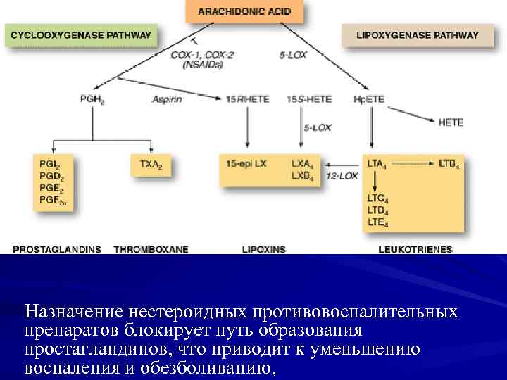 Назначение нестероидных противовоспалительных препаратов блокирует путь образования простагландинов, что приводит к уменьшению воспаления и