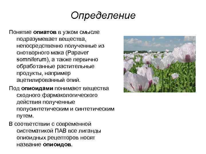 Определение Понятие опиатов в узком смысле подразумевает вещества, непосредственно полученные из снотворного мака (Papaver