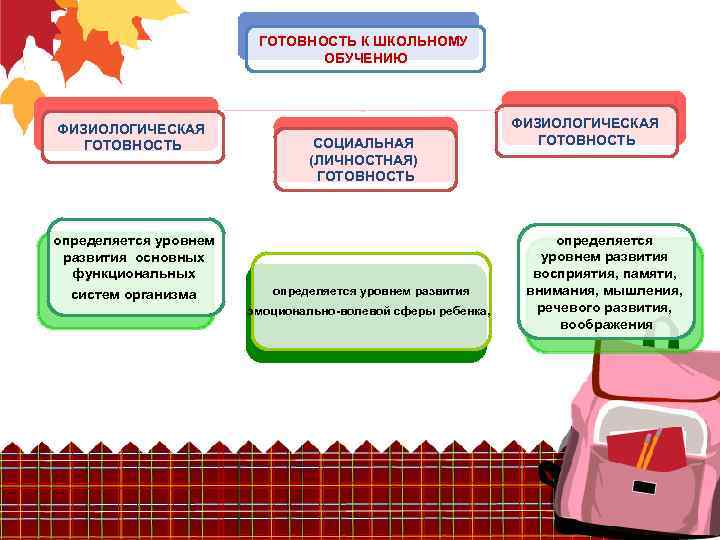ГОТОВНОСТЬ К ШКОЛЬНОМУ ОБУЧЕНИЮ ФИЗИОЛОГИЧЕСКАЯ ГОТОВНОСТЬ определяется уровнем развития основных функциональных систем организма СОЦИАЛЬНАЯ