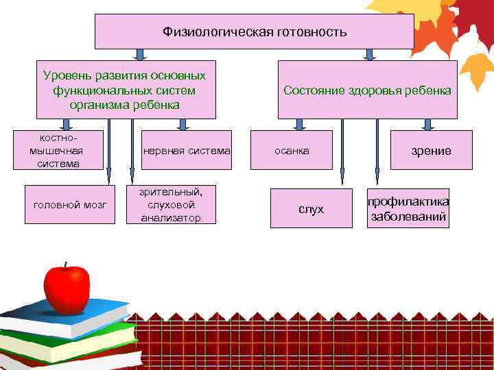 Физиологическая готовность Уровень развития основных функциональных систем организма ребенка костномышечная система головной мозг нервная