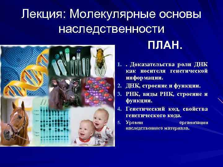 Молекулярные основы наследственности презентация