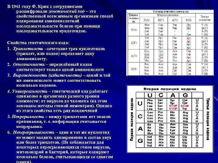 В 1961 году Ф. Крик с сотрудниками расшифровали генетический код – это свойственный всем