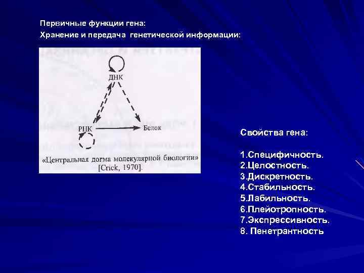 Первичные функции гена: Хранение и передача генетической информации: Свойства гена: 1. Специфичность. 2. Целостность.