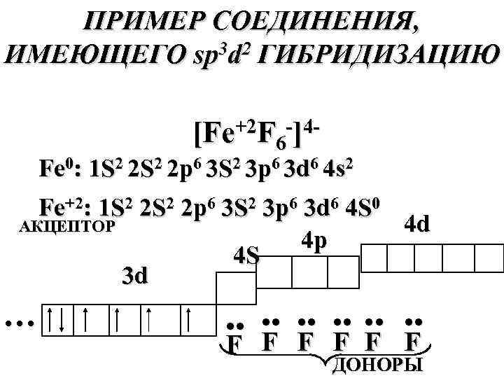 Zn схема строения