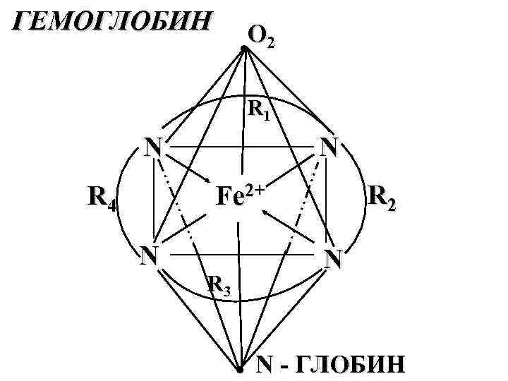 ГЕМОГЛОБИН O 2 ● R 1 N R 4 N R 2 Fe 2+