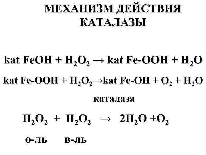 Каталитический пероксид водорода. Разложение пероксида водорода каталазой. Механизм действия каталазы. Механизм действия каталазы и пероксидазы. Каталаза реакция.
