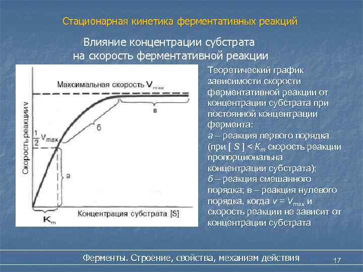 Стационарная кинетика ферментативных реакций Влияние концентрации субстрата на скорость ферментативной реакции Теоретический график зависимости