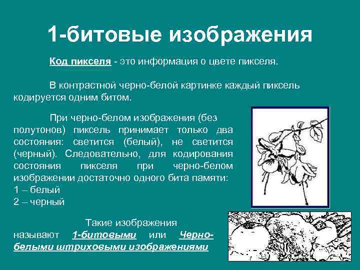 1 -битовые изображения Код пикселя - это информация о цвете пикселя. В контрастной черно-белой