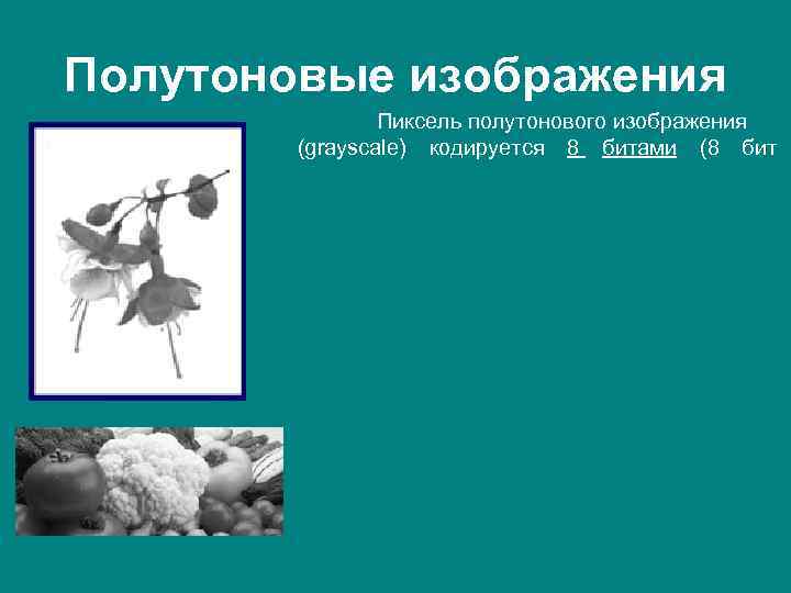 Полутоновые изображения Пиксель полутонового изображения (grayscale) кодируется 8 битами (8 бит 