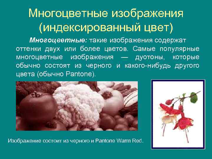 Многоцветные изображения (индексированный цвет) Многоцветные: такие изображения содержат оттенки двух или более цветов. Самые