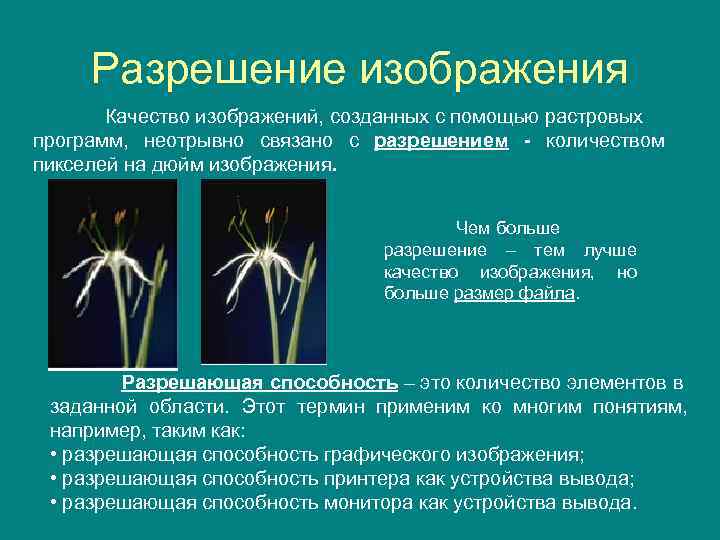 Разрешение изображения Качество изображений, созданных с помощью растровых программ, неотрывно связано с разрешением -