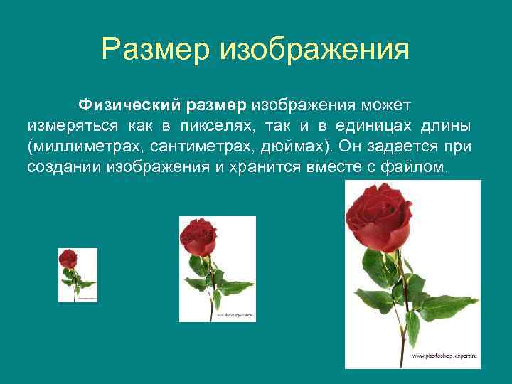 Размер изображения Физический размер изображения может измеряться как в пикселях, так и в единицах
