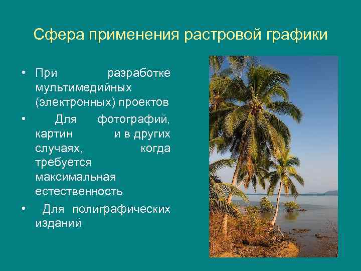 Сфера применения растровой графики • При разработке мультимедийных (электронных) проектов • Для фотографий, картин
